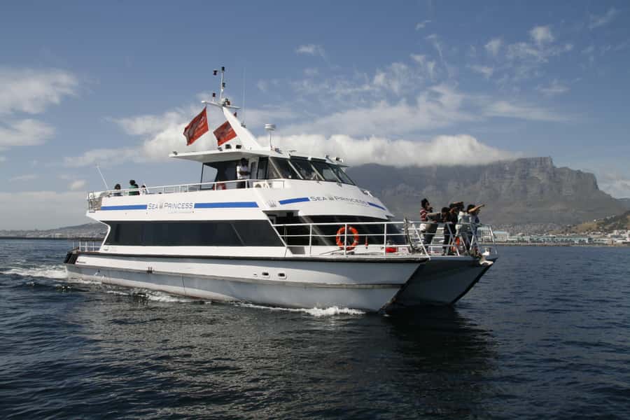 Cape Town: Scenic 1-Hour Coastal Catamaran Cruise - What marine life you might spot along the Atlantic