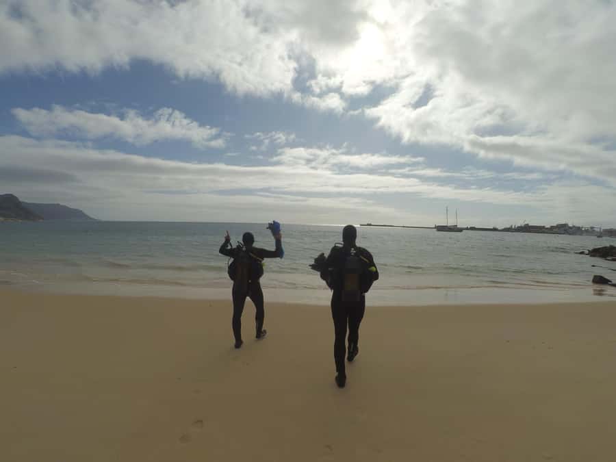 Cape Town: Scuba Diving Experience for Beginners - Key highlights worth caring about