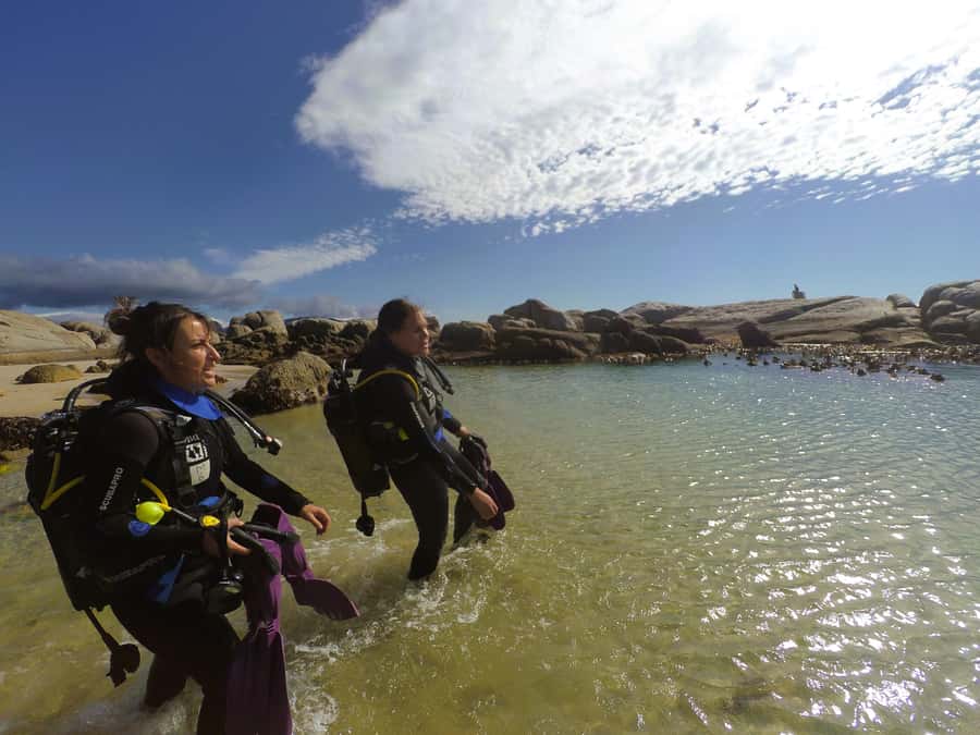 Cape Town: Scuba Diving Experience for Beginners - Who should book, and who should skip for health reasons