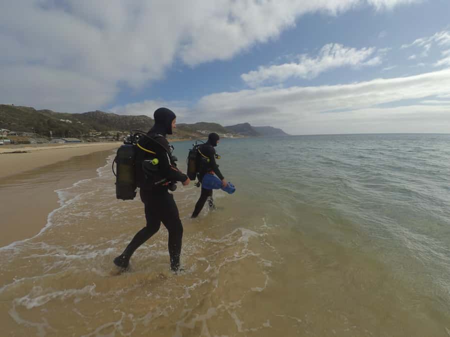 Cape Town: Scuba Diving Experience for Beginners - Gear try-on in advance: booties, wetsuit, fins, mask, and buoyancy control