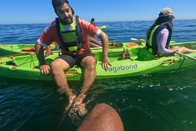 Cape Town Sea Kayaking Adventure launching from V&A Waterfront - Price and value: what $30.59 buys you