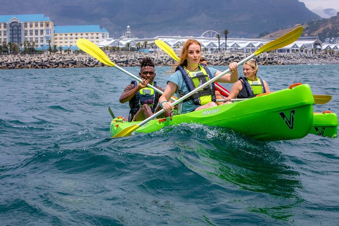Cape Town Sea Kayaking Adventure launching from V&A Waterfront - Wildlife spotting: seals, dolphins, and the fun of stillness