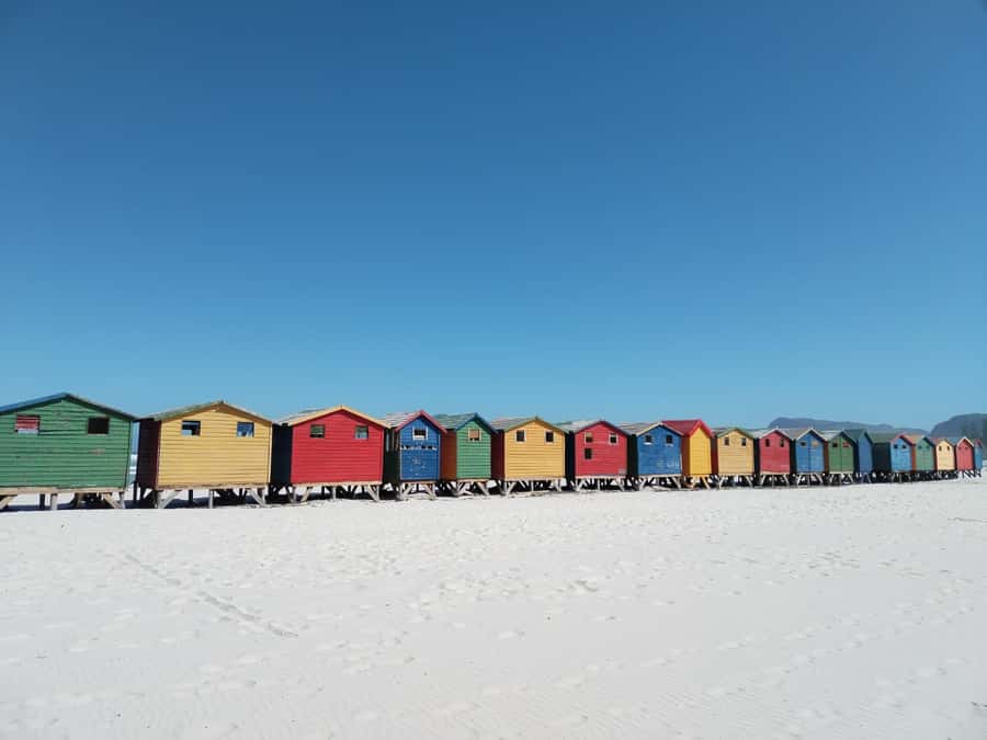 Cape Town: Seal Island, Cape of Good Hope& Penguins Private - Chapman’s Peak Drive: the road that turns into a viewpoint