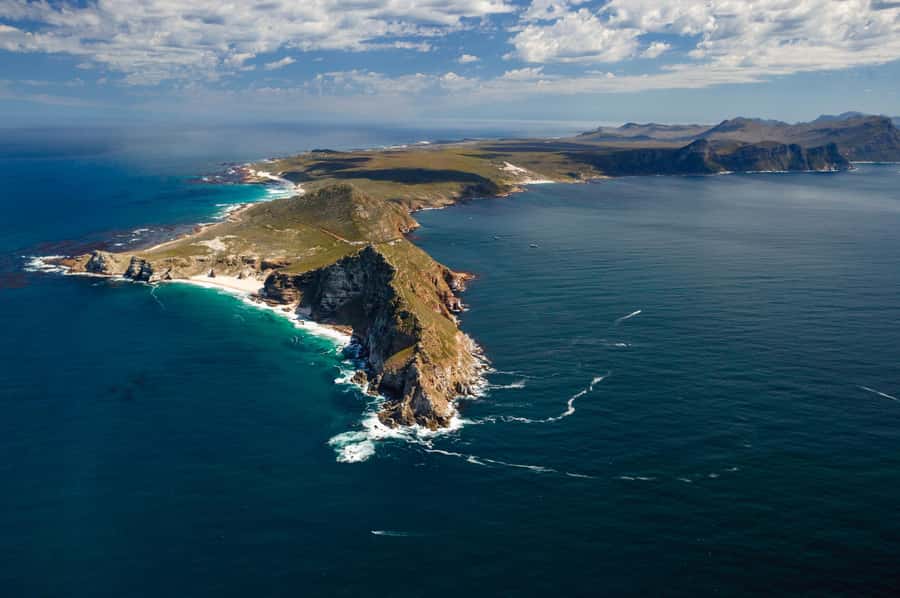 Cape Town: Shark Cage Dive - What you’ll likely see in False Bay (and what you should not assume)