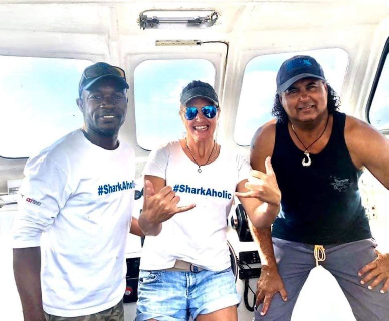Cape Town: Shark Cage Diving with Snacks and Soft Drinks - Who This Tour Suits Best, and Who Should Skip It