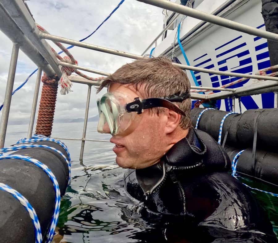 Cape Town: Shark Cage Diving with Snacks and Soft Drinks - Price and Value: What $233 Buys You in Practice