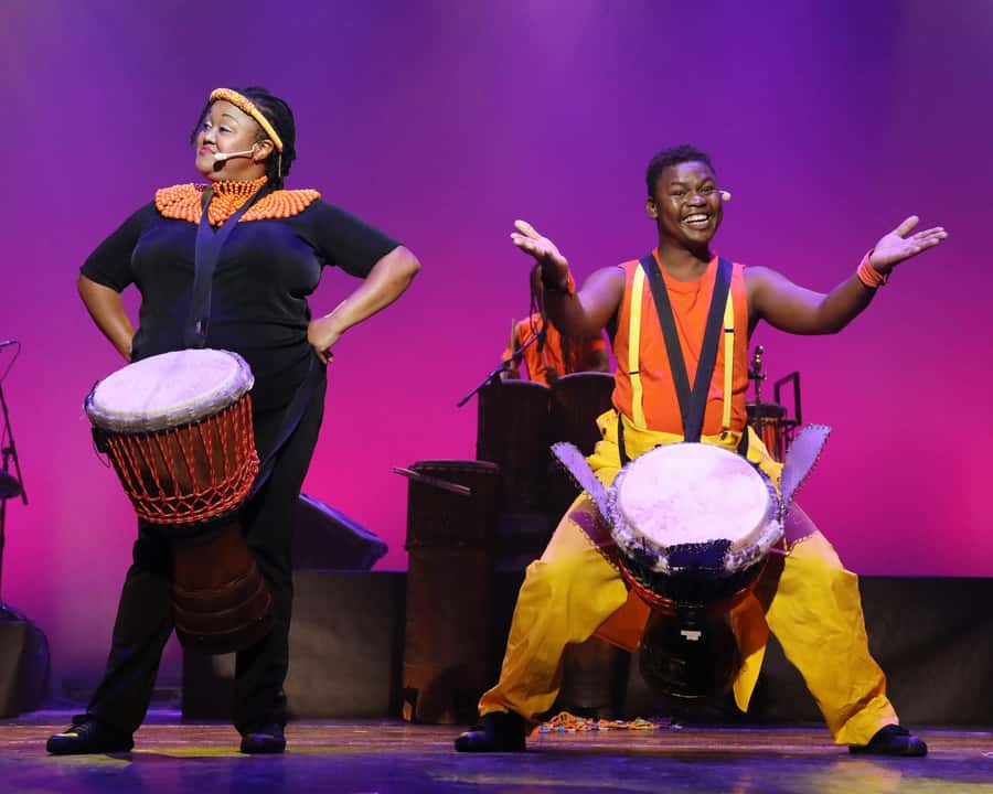 Cape Town: Silvermist Estate Wine Tasting & Drumstruck Show - Key highlights worth planning around
