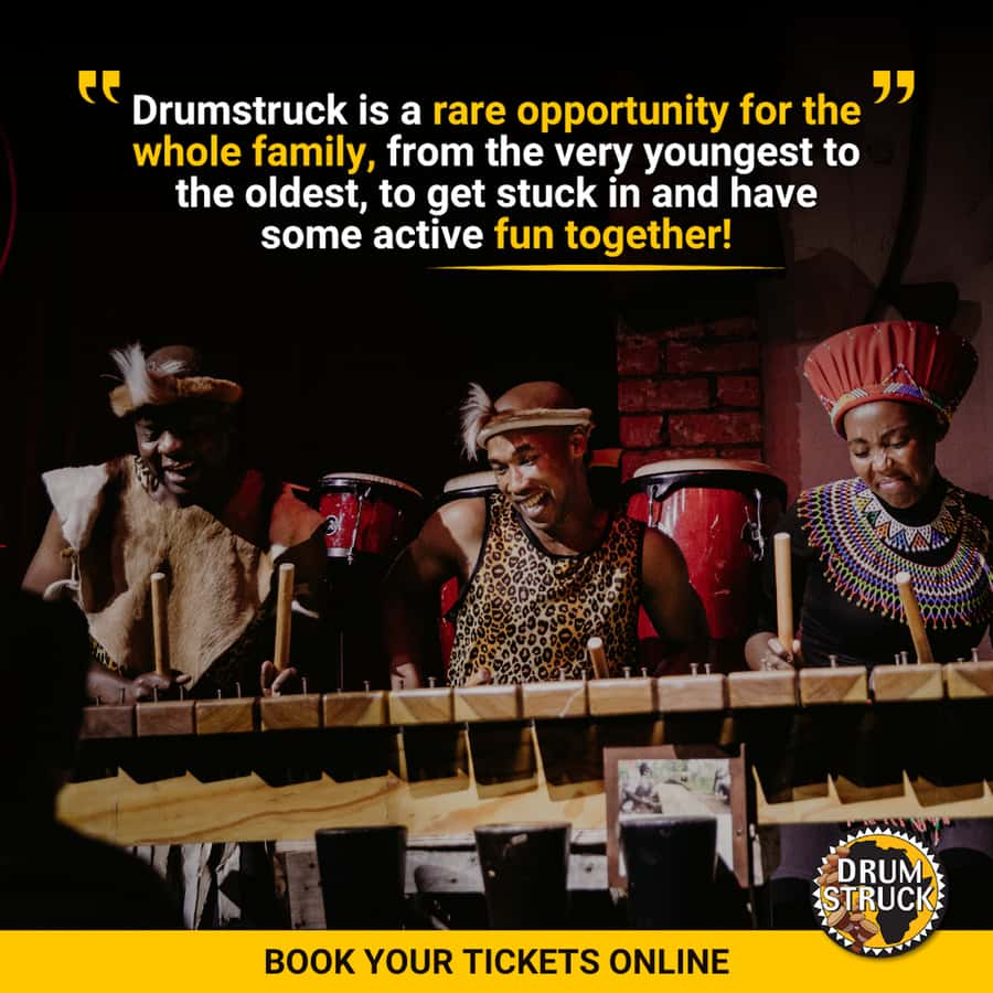 Cape Town: Silvermist Estate Wine Tasting & Drumstruck Show - Who should book this Drumstruck and Silvermist combo?