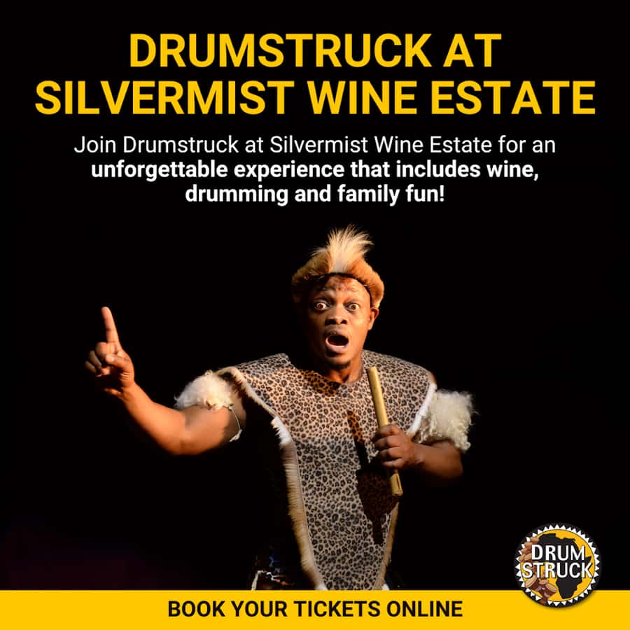 Cape Town: Silvermist Estate Wine Tasting & Drumstruck Show - Drumstruck in action: you’ll play a djembe, sing along, and learn the rhythm