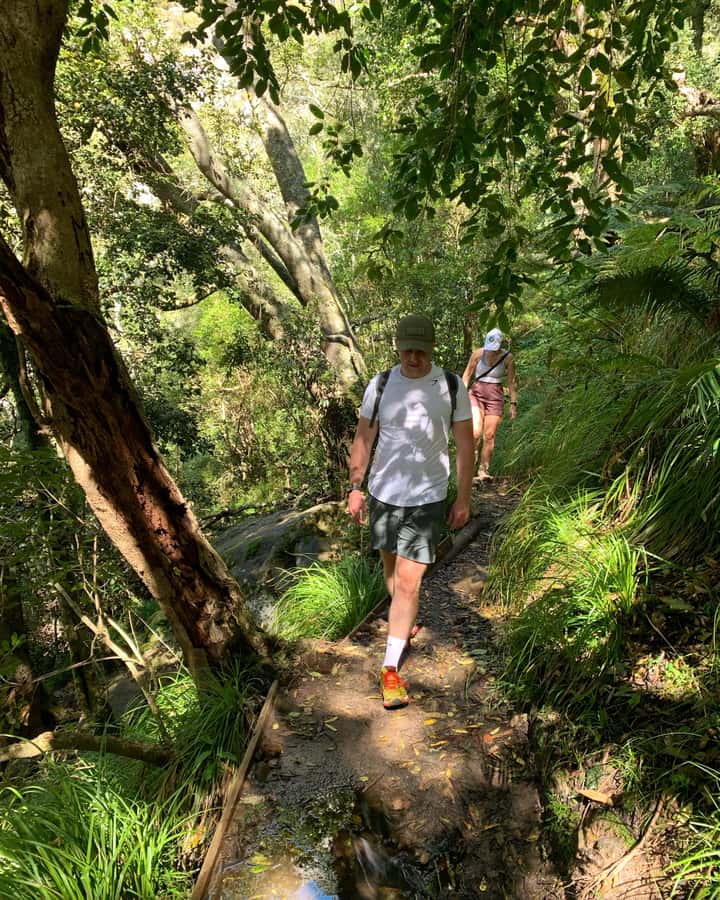 Cape Town: Skeleton Gorge and Kirstenbosch Gardens Hike - Key things to know before you go