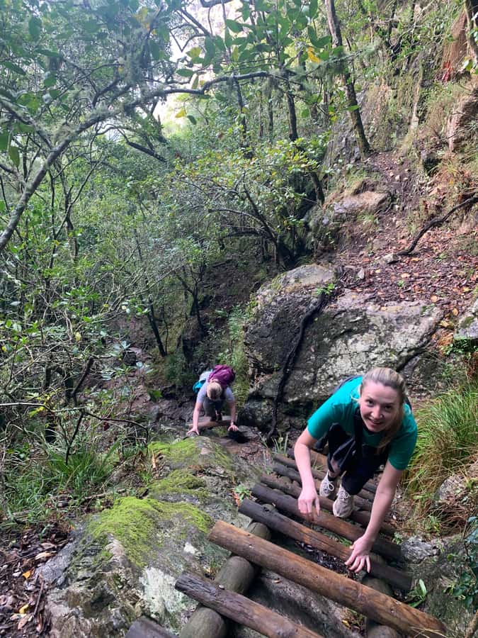 Cape Town: Skeleton Gorge and Kirstenbosch Gardens Hike - Skeleton Gorge: Shade, waterfalls, and ladders on polished rock
