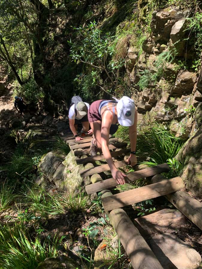 Cape Town: Skeleton Gorge and Kirstenbosch Gardens Hike - Price and value: Is $93 per person a good deal?
