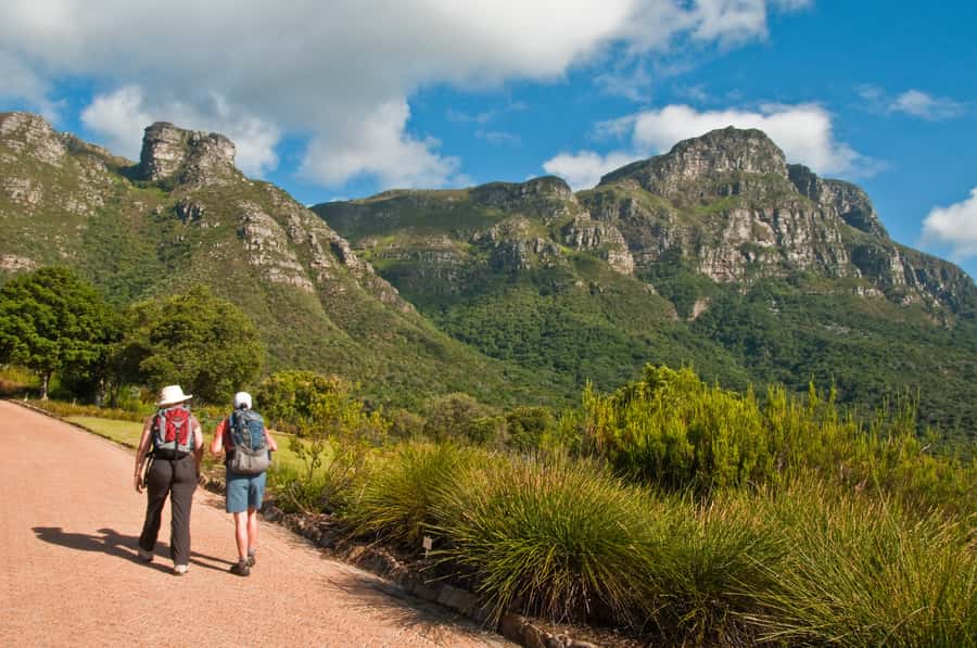 Cape Town: Skeleton Gorge and Kirstenbosch Gardens Hike - Logistics and the cable car down option you need to know