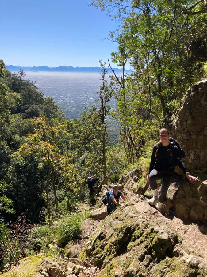 Cape Town: Skeleton Gorge Hike to Table Mountain Summit - Key highlights you should care about