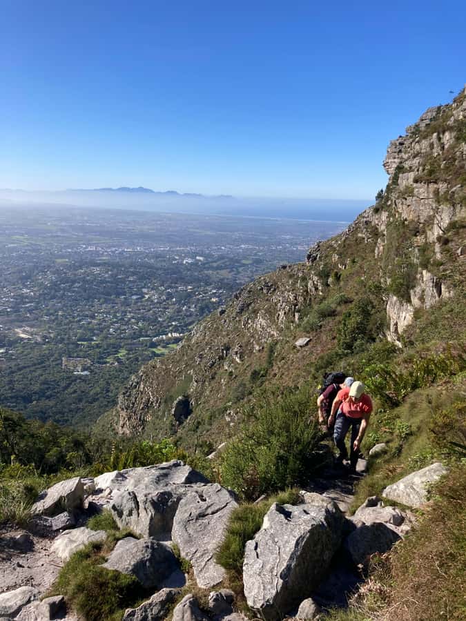 Cape Town: Skeleton Gorge Hike to Table Mountain Summit - Climbing Skeleton Gorge: forest shade to ladders and steep rock