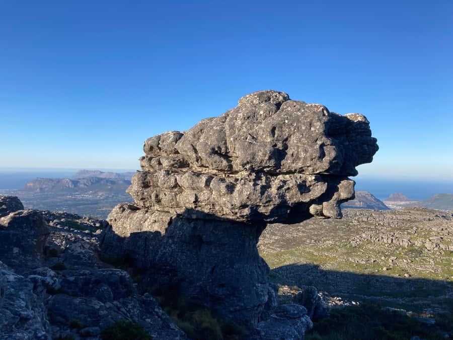 Cape Town: Skeleton Gorge Hike to Table Mountain Summit - It fits a real half day, about 5 hours on the move