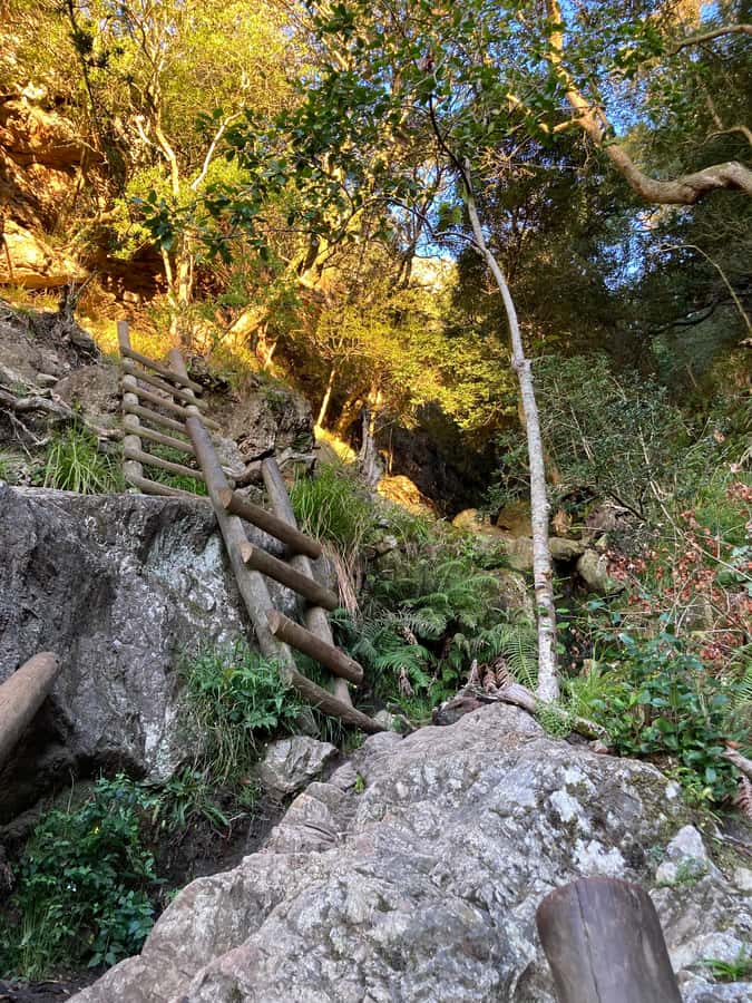 Cape Town: Skeleton Gorge Hike to Table Mountain Summit - What to bring and how to prepare for steep, uneven terrain