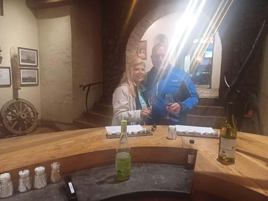 Cape Town: Stellenbosch and Paarl Half-Day Wine Tour - The guide can make or break the day