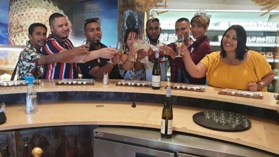 Cape Town: Stellenbosch, Franschhoek and Paarl Wine Day Trip - From Cape Town to Paarl: cheese, wine, and the barrel-shaped pods