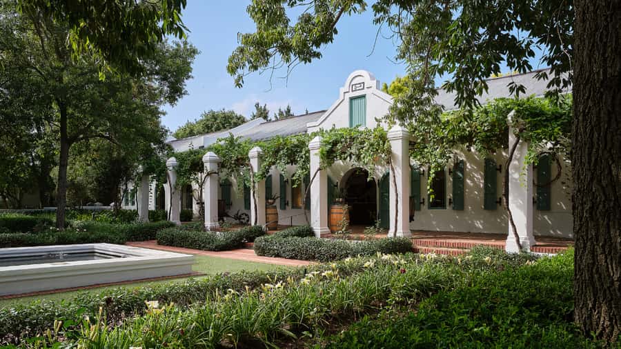 Cape Town: Stellenbosch, Franschhoek and Paarl Wine Day Trip - Lunch in Stellenbosch: a la carte, vegetarian options, and wine with your meal