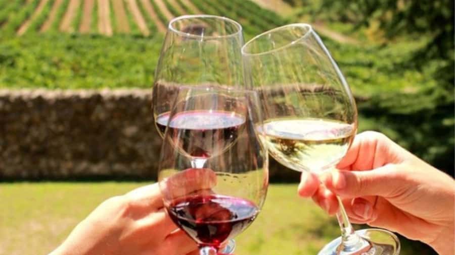 Cape Town: Stellenbosch, Franschhoek and Paarl Wine Day Trip - Who should book this tour, and who might want to tweak expectations