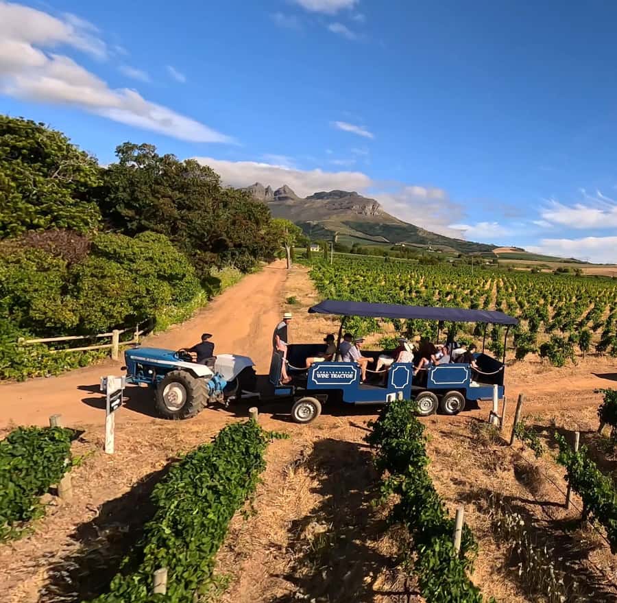 Cape Town: Stellenbosch Hop-On Hop-Off Tractor Transfer - Key points before you ride