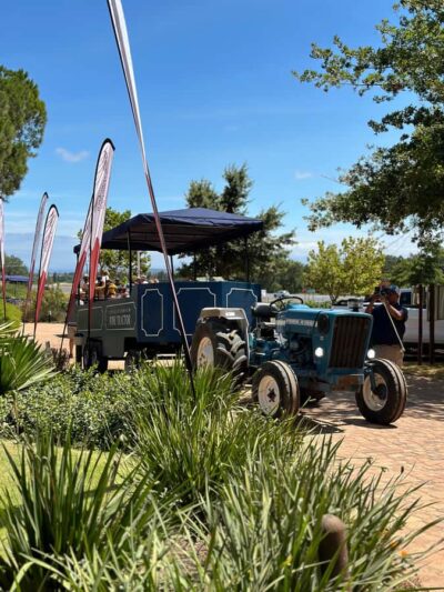 Stellenbosch Hop-On Hop-Off Tractor Transfer