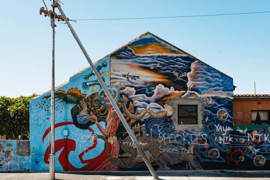 Cape Town: Street Art Walking Tour in Woodstock - Salt River Nature Park: when you need a breather