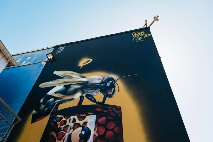 Cape Town: Street Art Walking Tour in Woodstock - Final Woodstock and Salt River moments before you circle back