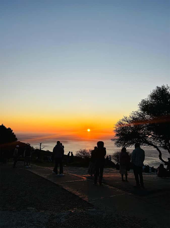 Cape Town: Sunset Bus Tour with Picnic on Signal Hill - Price and Value: Is $17 Worth It?