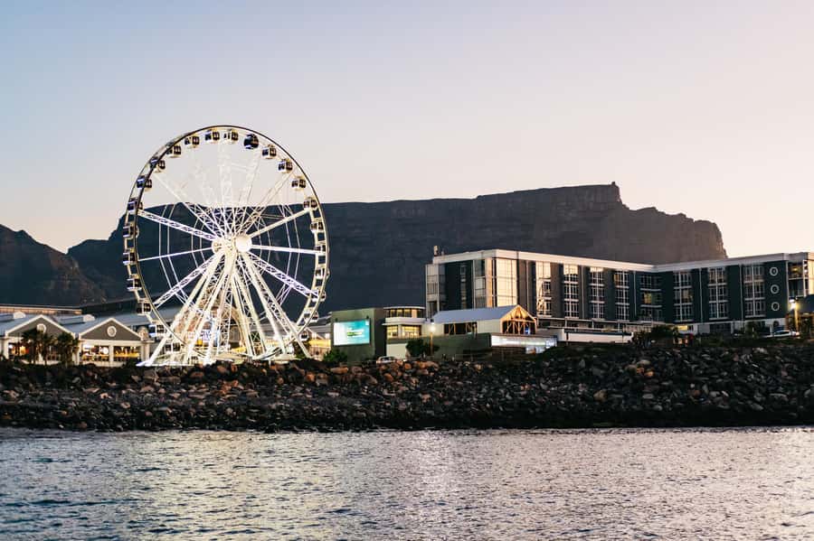 Cape Town: Sunset Catamaran Cruise on Table Bay with Bubbles - Who this sunset catamaran cruise is best for