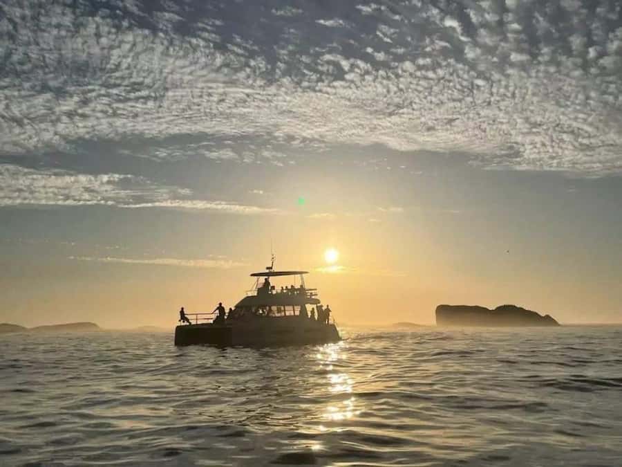 Cape Town: Sunset Champagne Cruise - Entering The Adventure Zone: V&A Waterfront to Open Atlantic