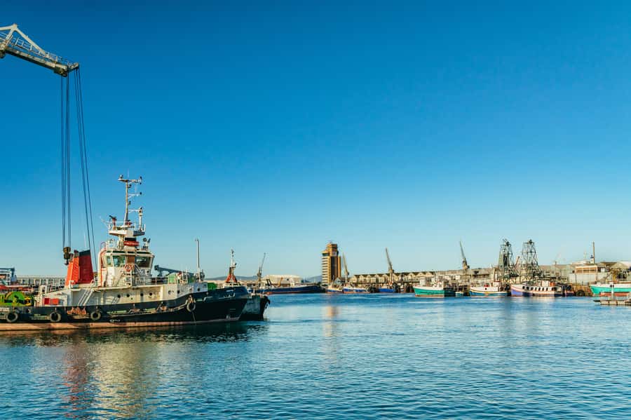 Cape Town: Sunset Champagne Cruise and 3-Course Dinner - Practical Tips That Make Your Sunset Less Stressful