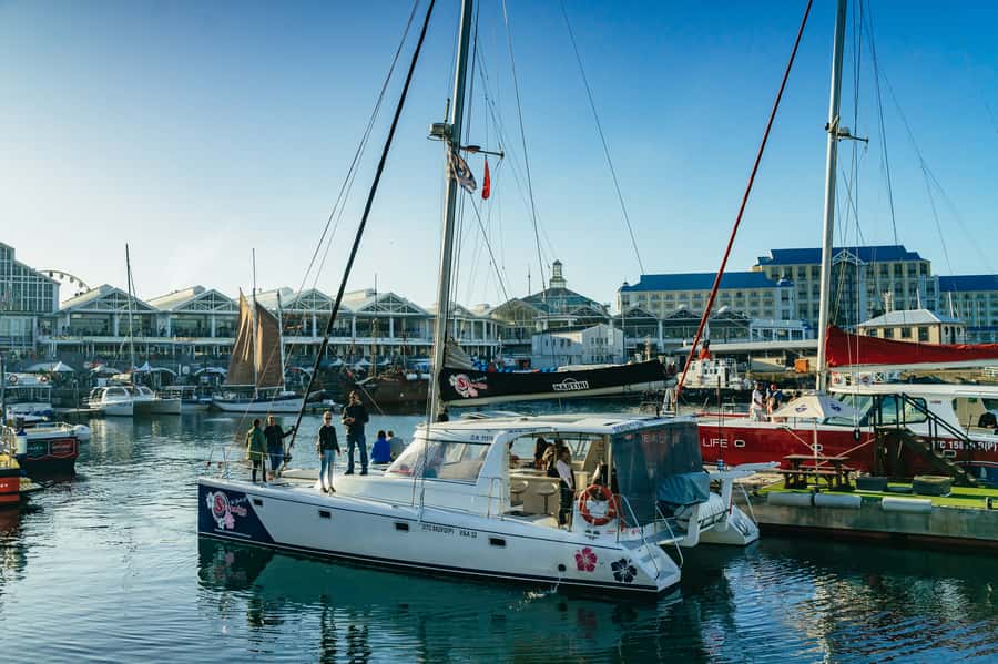 Cape Town: Sunset Champagne Cruise and 3-Course Dinner - Value for $78: Is It Worth the Price?