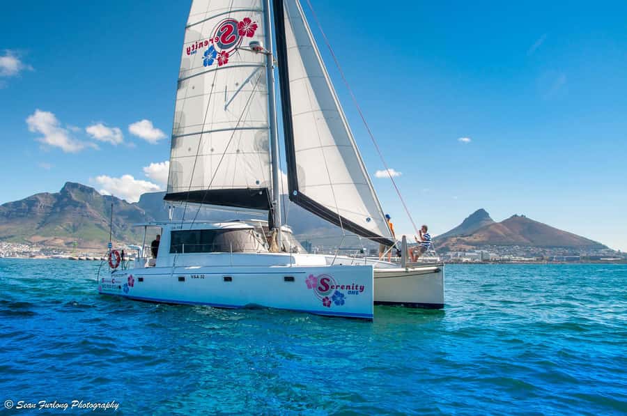 Cape Town: Sunset Champagne Cruise and 3-Course Dinner - Who Should Book This Evening (And Who Might Not Love It)