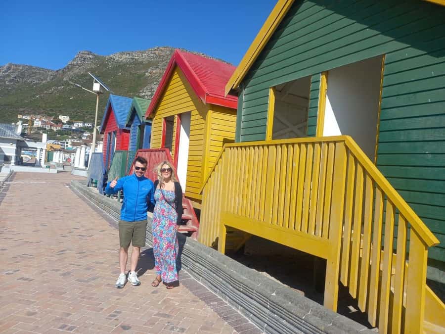 Cape Town: Sunset Penguins & Cape of Good Hope Half-Day Tour - Key highlights to pay attention to
