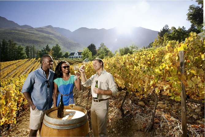 Cape Town Super Saver: Cape Point Tour plus Wine Tasting in Stellenbosch - Key Points Before You Go
