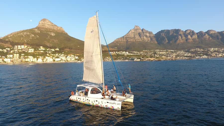 Cape Town: Table Bay Cruise by Catamaran - Key things to know before you go