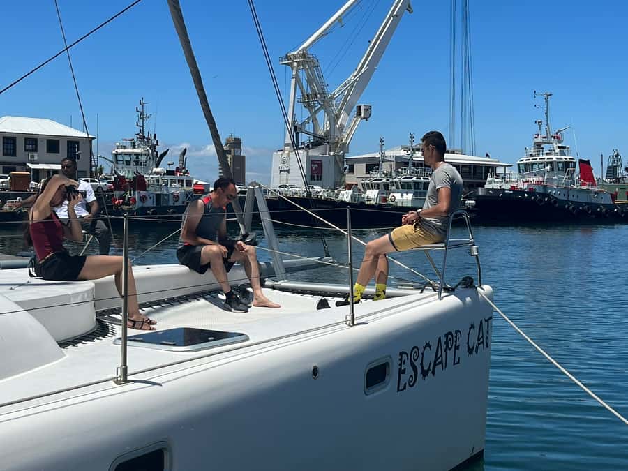 Cape Town: Table Bay Cruise by Catamaran - Who this cruise is best for, and who might want a different plan