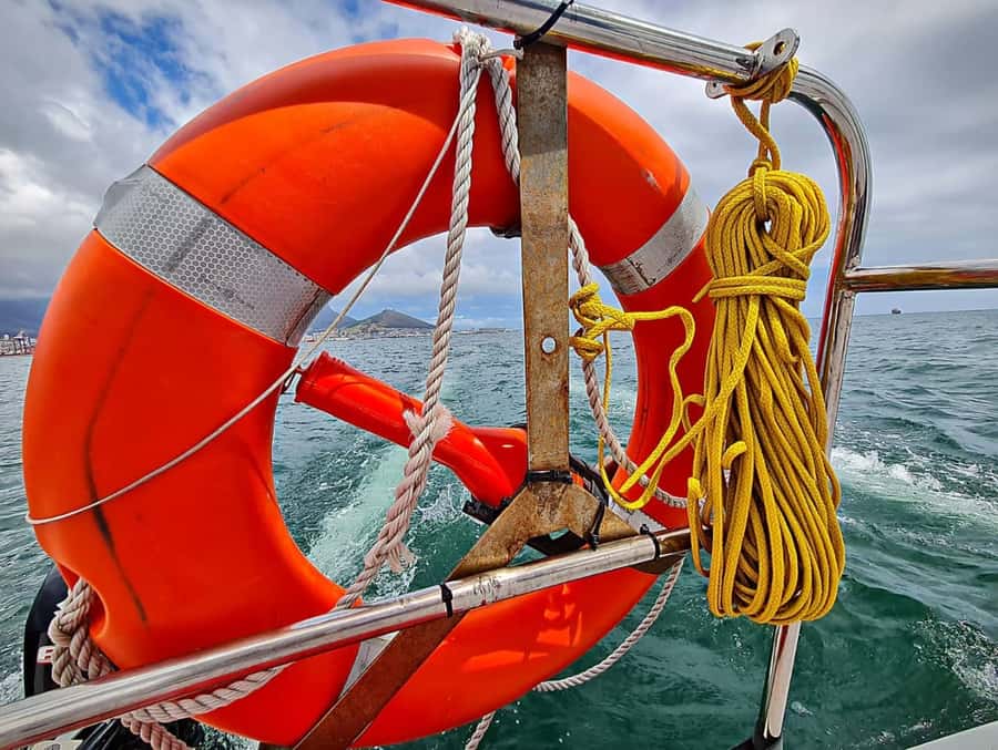 Cape Town: Table Bay Cruise by Catamaran - The 1-hour bay sail: what the time is really like