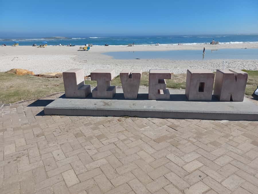 Cape Town: Table Mountain and Penguins Private Guided Tour - Simon’s Town lunch pause you can actually enjoy