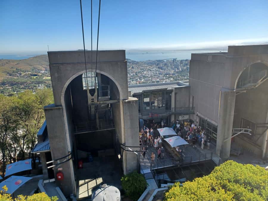 Cape Town: Table Mountain and Penguins Private Guided Tour - Who should book this private Cape Town day trip?