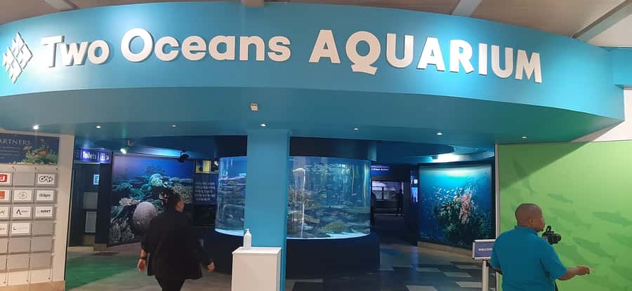 Cape Town: Table Mountain and Robben Island Tour - Table Mountain: cable car time, what you will see, and what weather might do
