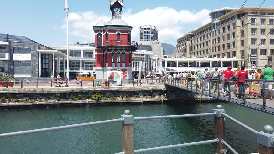 Cape Town: Table Mountain and Robben Island Tour - Tow Oceans Aquarium at the V&A Waterfront: the break you will thank yourself for
