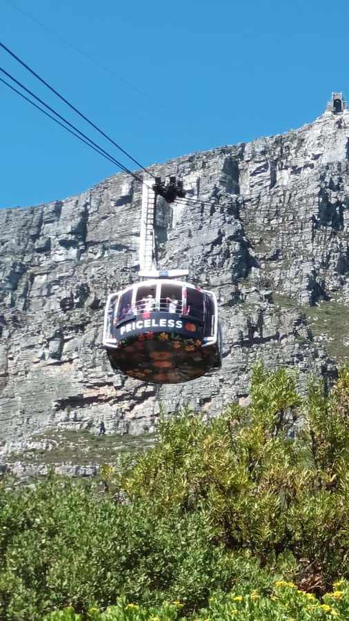 Cape Town: Table Mountain Cable Car Ticket - What to Pack for Table Mountain Comfort