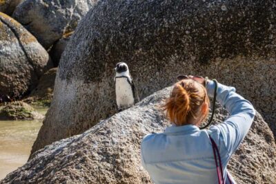 Table Mountain & Cape of Good Hope Full-Day Tour