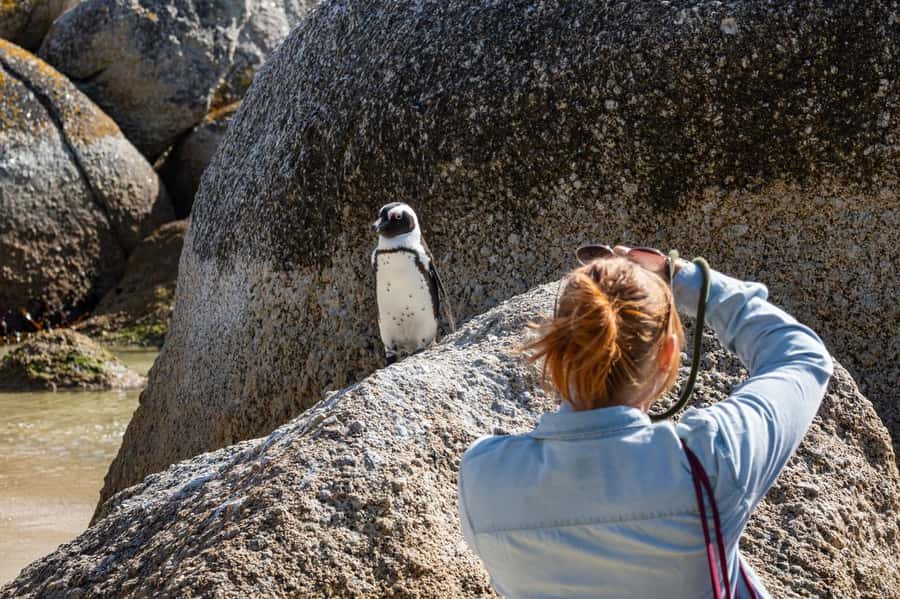 Cape Town: Table Mountain & Cape of Good Hope Full-Day Tour - Pickup and the “how long are we in the car” reality check