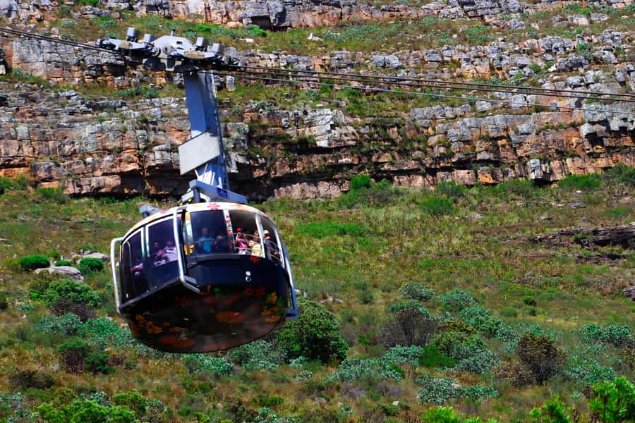 Cape Town: Table Mountain, Cape Point, & Penguins Group Tour - Why This Cape Town Loop Feels Like a Best-Of Day