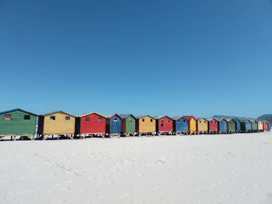 Cape Town: Table Mountain,Cape Point & Penguins Private Tour - Key Things You’ll Notice on This Tour