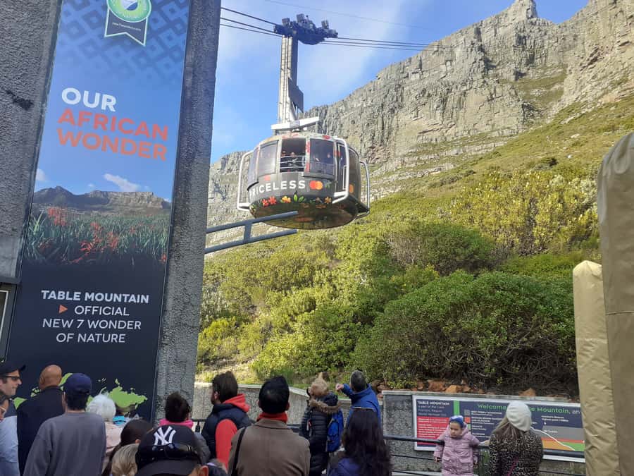 Cape Town: Table Mountain,Cape Point & Penguins Private Tour - Getting Up to Table Mountain: Cable Car Timing and Photo Payoff